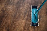 домашна помощница - 16937 цени домашна помощница - 42797 цени