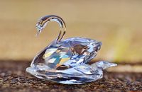 Swarovski - 79608 discounts Swarovski - 53165 discounts