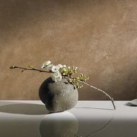 декоративни бои и мазилки - 68069 оферти | Novacolor декоративни бои и мазилки - 27447 оферти