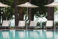 константин и елена - 98309 селекции