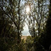 константин и елена - 70097 награди