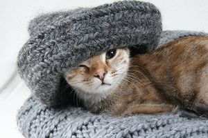 котли на пелети - 12099 промоции котли на пелети - 23964 промоции