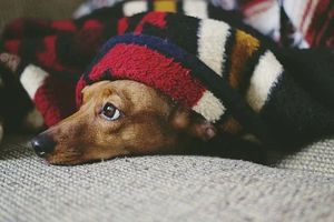 котли на пелети - 45776 клиенти | Елтерм котли на пелети - 23624 клиенти