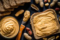 диетични храни - 78401 промоции | Activechoice диетични храни - 78913 промоции