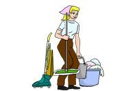Domestic Cleaning Services - 25643 selections Domestic Cleaning Services - 31958 selections