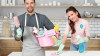Domestic Cleaning Services - 80743 types Domestic Cleaning Services - 34950 types