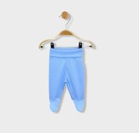 ританки - 33369 вида