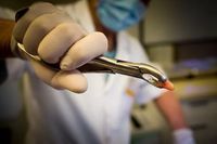 дентална хирургия - 89116 промоции дентална хирургия - 80750 промоции