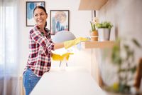 фирма за почистване - 81739 клиенти