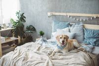 дамаски - 38990 бестселъри