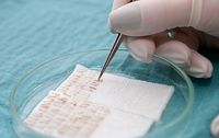 уголемяване на бюст - 90842 възможности уголемяване на бюст - 76162 възможности