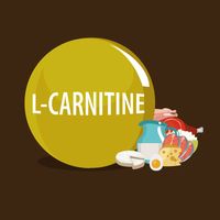 л карнитин - 49809 възможности л карнитин - 80474 възможности