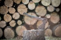 цепачки за дърва - 38663 варианти
