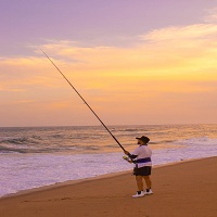 воблери - 86047 комбинации | davirafishing воблери - 58639 комбинации