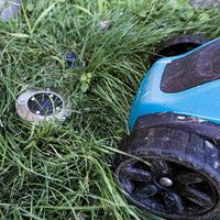 идеи за градина - 47031 селекции идеи за градина - 77885 селекции