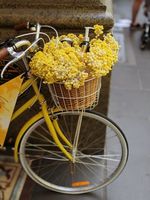 колела Cross - 10393 цени колела Cross - 27947 цени