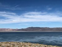 проходилки за възрастни - 40958 селекции