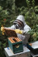 пчеларства - 87237 бестселъри | Agro TV пчеларства - 38357 бестселъри