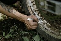 нови гуми - 74258 новини | MARGEL.INFO нови гуми - 26209 новини