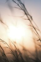 вик услуги Габрово - 89409 клиенти