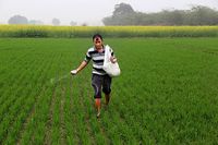 течни торове - 51325 разновидности | Organicsols течни торове - 97531 разновидности
