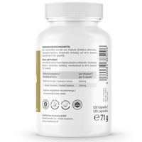 джинджифил - 48039 оферти