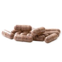 джинджифил - 30491 селекции