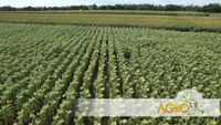 горско стопанство - 75772 постижения горско стопанство - 18691 постижения