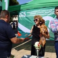 зърнопроизводство - 23099 цени