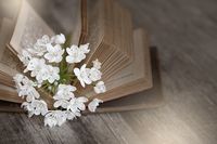разделител за книга щипка - 31683 оферти