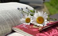 разделител за книга щипка - 34073 новини