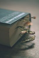 разделител за книга щипка - 29030 промоции