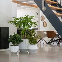 градински мебели - 68678 варианти | navun.bg градински мебели - 27310 варианти
