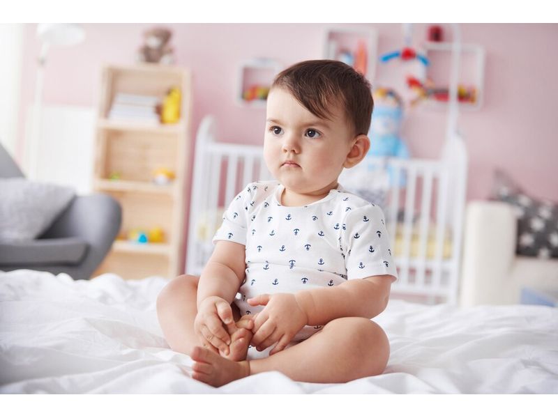 Мезенхимни стволови клетки - 52913 разновидности Мезенхимни стволови клетки - 97563 разновидности