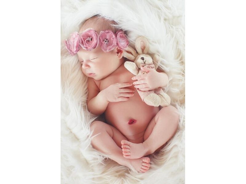 Мезенхимни стволови клетки - 86162 снимки Мезенхимни стволови клетки - 91564 снимки