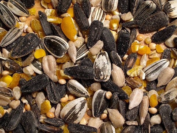 Гранули за папагали - 1505 комбинации