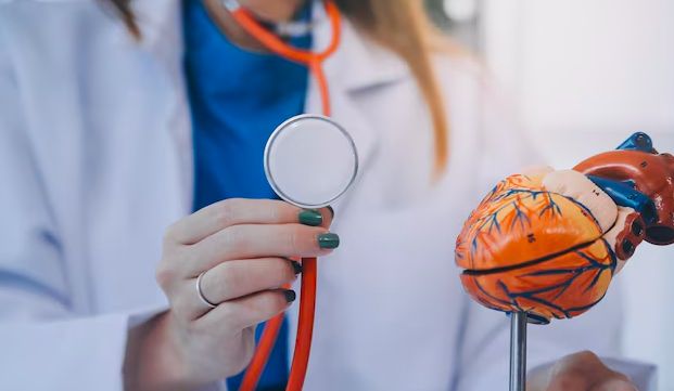 кардиолог софия - 7939 новини | medicabilis.eu кардиолог софия - 96896 новини