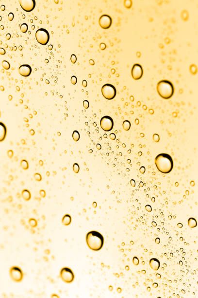 фраголино вино - 9056 предложения