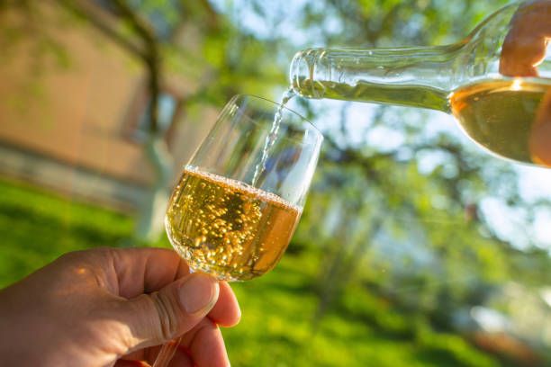 соаве - 93272 варианти | divinobrothers.com соаве - 96894 варианти