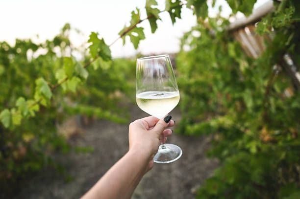 соаве - 44898 отстъпки соаве - 51803 отстъпки