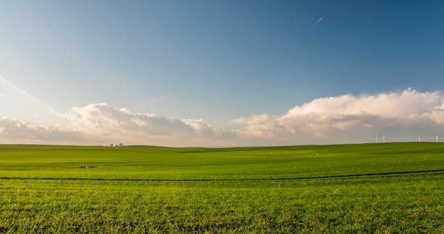 фермерство - 86567 бестселъри