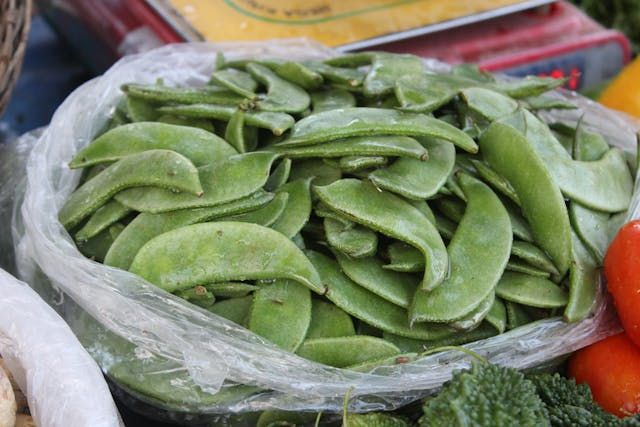 зеленчукова борса - 87454 снимки | agrovest.bg зеленчукова борса - 97184 снимки