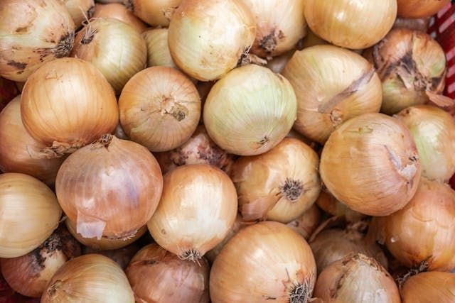 зеленчукова борса - 29308 постижения зеленчукова борса - 97807 постижения