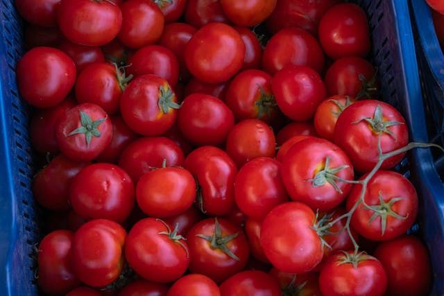 зеленчукова борса - 42968 типа зеленчукова борса - 99083 типа