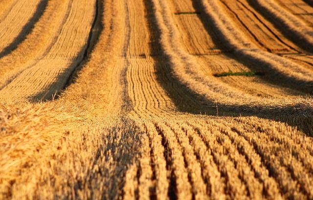 агро новини - 59637 промоции