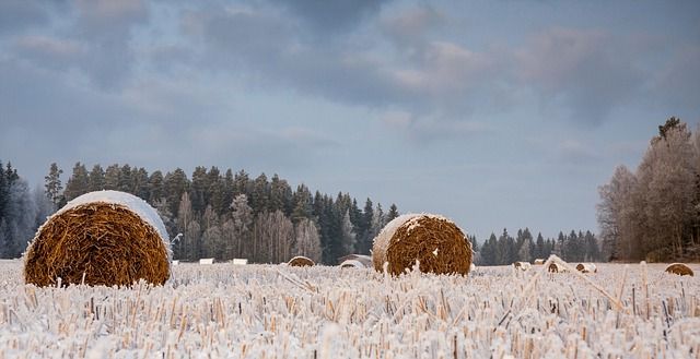 МЗХ - 62760 типа МЗХ - 68777 типа