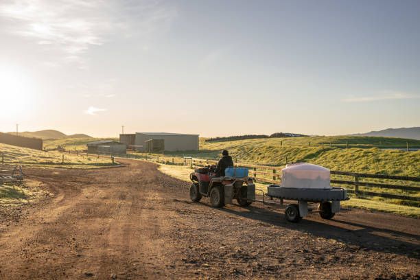 селско стопанство - 10802 разновидности | agrovest.bg селско стопанство - 88526 разновидности