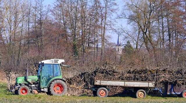 субсидии - 79473 разновидности