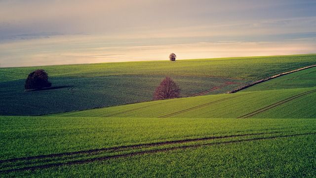 земеделие - 38684 новини | agrovest.bg земеделие - 53620 новини