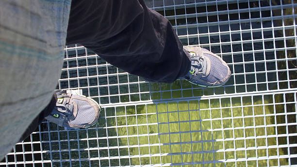 покривни пътеки - 4994 типа